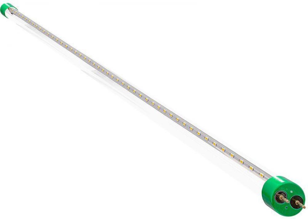 LED T8 4FT , 15W , 1800 LM , 3500K , CLEAR GLASS , TYPE A+B , , UL LISTED , DLC, NON DIMMABLE (12 pack)