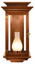 The Coppersmith AP20E-HSI - Approach 20 Electric-Hurricane Shade