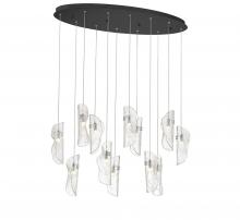 Lib & Co. US 12034-017-02 - Sorrento, 12 Light Oval LED Chandelier, Clear, Black Canopy