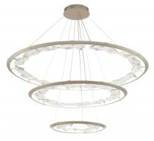 Lib & Co. US 12165-041 - Nettuno,3 Tier LED Chandelier, 
Painted Brushed Champagne