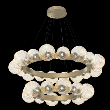 Hammerton CHB0092-2T-GB-A-CA1-L1 - Gaia Radial Ring Chandelier