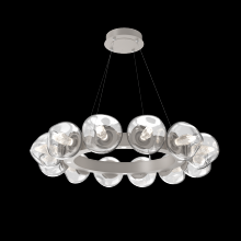 Hammerton CHB0095-36-BS-GC-CA1-L1 - Luna Radial Ring Chandelier