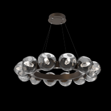 Hammerton CHB0095-36-FB-GS-CA1-L1 - Luna Radial Ring Chandelier