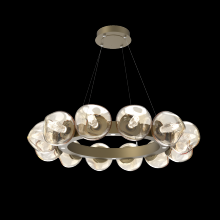 Hammerton CHB0095-36-GB-GA-CA1-L1 - Luna Radial Ring Chandelier