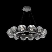 Hammerton CHB0095-36-GP-ZS-CA1-L1 - Luna Radial Ring Chandelier