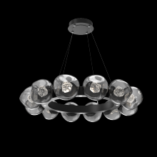 Hammerton CHB0095-36-MB-ZS-CA1-L1 - Luna Radial Ring Chandelier