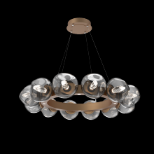 Hammerton CHB0095-36-NB-GS-CA1-L1 - Luna Radial Ring Chandelier