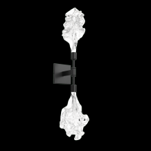Hammerton IDB0059-02-BS-BC-L1 - Blossom Double Sconce-Metallic Beige Silver-Blossom Clear Blownglass