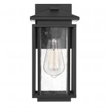 Worldwide Lighting Corp E10017-001 - Breckenridge 11 In 1-Light Matte Black Outdoor Wall Sconce With Seeded Glass