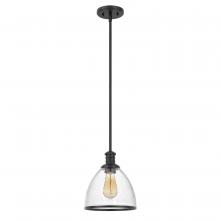 Worldwide Lighting Corp E80003-001 - Cloe 1-Light Black Finish Harmer Glass Pendant 9“ X 9” X 10.5“