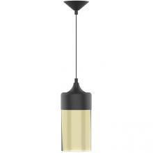 Worldwide Lighting Corp E80073-001 - Chagall Pendant 1-Light Ceiling Hanging Modern Black Finish With Clear Glass shade