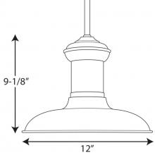 PROG_P5024dimensions_lineart.jpg