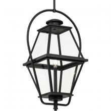 Progress P550138-031 - Bradshaw Collection One-Light Textured Black Clear Glass Transitional Outdoor Hanging Lantern