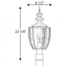 PROG_P6417dimensions_lineart.jpg