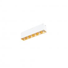 WAC US R1GDL06-S940-GL - Multi Stealth Downlight Trimless 6 Cell