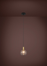 206858A_LS1.jpg