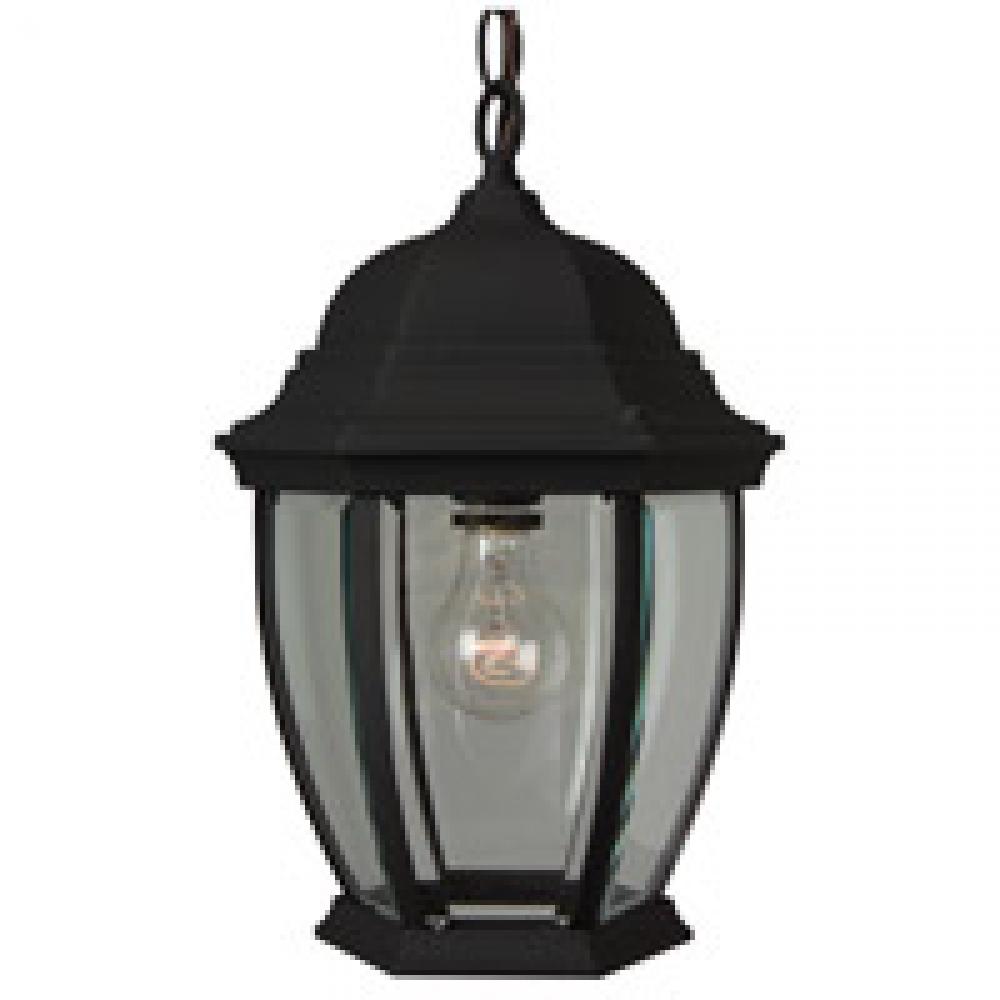 Bent Glass Cast 1 Light Outdoor Pendant in Textured Black