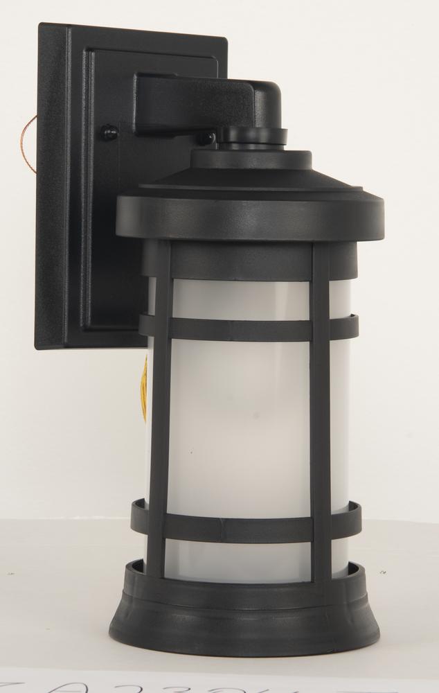 Resilience 1 Light Small Outdoor Wall Lantern in Textured Black