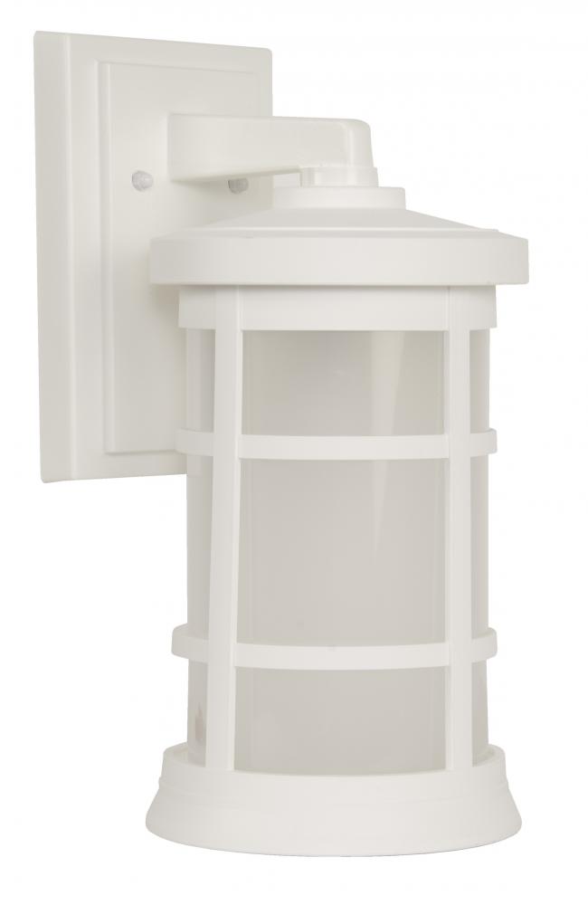 Resilience 1 Light Medium Outdoor Wall Lantern in Textured White