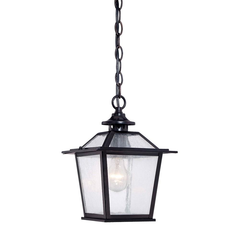 Salem Collection Hanging 1-Light Outdoor Matte Black Light Fixture