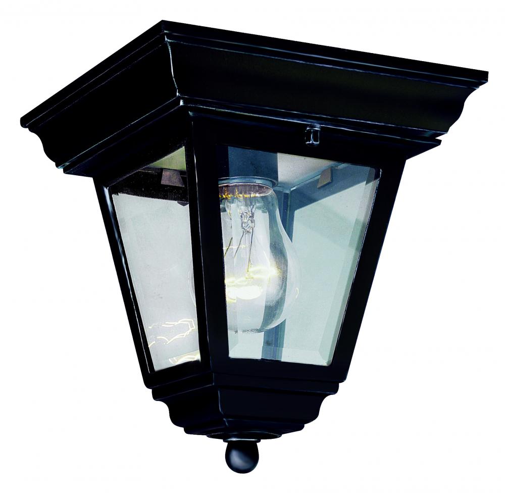Robertson 1-Light Square, Glass and Metal, Outdoor Flush Mount Ceiling Lantern