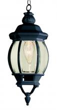 Trans Globe 4065 BK - Parsons 1-Light Traditional French-inspired Outdoor Hanging Lantern Pendant with Chain