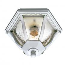 Trans Globe 4558 WH - Bostwick 8.75" Flushmount Lantern