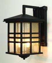 Trans Globe 4636 BK - Huntington 2-Light Craftsman Inspired Seeded Glass Wall Lantern