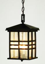 Trans Globe 4638 BK - Huntington 2-Light Craftsman Inspired Seeded Glass Outdoor Hanging Pendant