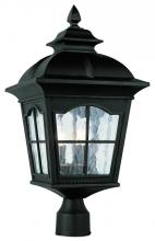 Trans Globe 5425 BK - Briarwood 4-Light Rustic, Chesapeake Embellished, Water Glass and Metal Framed Post Mount Lantern He
