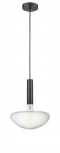 Innovations Lighting 198-1P-BK-BB250LED - Edison - 1 Light - 10 inch - Matte Black - Cord hung - Mini Pendant