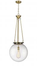 Innovations Lighting 221-1P-BB-G204-16 - Beacon - 1 Light - 16 inch - Brushed Brass - Chain Hung - Pendant