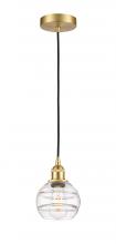 Innovations Lighting 616-1P-SG-G556-6CL - Rochester - 1 Light - 6 inch - Satin Gold - Cord hung - Mini Pendant