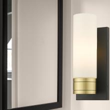 APP-617-1W-BAB-G617-8WH_2.jpg