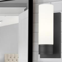APP-617-1W-BK-G617-8WH_2.jpg