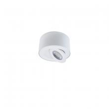 Modern Forms US Online FM-W44205-35-WT - I Spy Outdoor Flush Mount Light