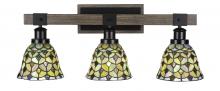 Toltec Company 1843-MBDW-9965 - Bathroom Lighting