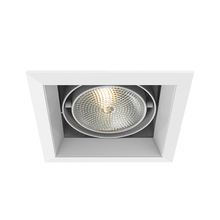 Eurofase TE131-22 - MULT,PAR30,TRM,1LT,75W,WH/WHT