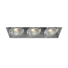 Eurofase TE223-02 - MULT,PAR30,TRIMLSS,3LT,75W,WT