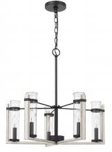 CAL Lighting FX-3751-5 - 60Wx  5 Olivette metal chandelier with glass shade