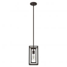 Hunter 19756 - Hunter Doherty Onyx Bengal 1 Light Mini Pendant Ceiling Light Fixture