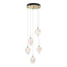 Hubbardton Forge 131137-SKT-LONG-86-WP0754 - Chrysalis 5-Light Small Crystal Pendant