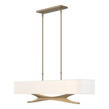 Hubbardton Forge 137655-SKT-STND-84-SF4298 - Moreau Pendant