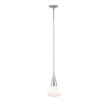 Hubbardton Forge 188902-SKT-MULT-85-ZM0676 - Fritz Large Pendant