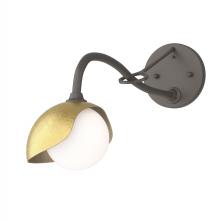 Hubbardton Forge 201376-SKT-07-86-GG0711 - Brooklyn 1-Light Single Shade Long-Arm Sconce