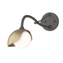 Hubbardton Forge 201376-SKT-20-84-GG0711 - Brooklyn 1-Light Single Shade Long-Arm Sconce