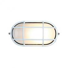 Access 20290-WH/FST - 1 Light Outdoor Bulkhead