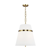 Visual Comfort & Co. Studio Collection AP1173BBS - Large Pendant