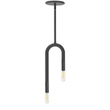 Dainolite WAN-152P-MB - 2 Light Incandescent Matte Black Pendant