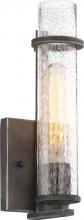 Nuvo 60/6381 - Donzi - 1 Light Vanity with Clear Seeded Glass - Iron Black Finish